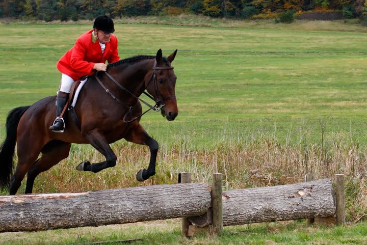 Fox Hunting Demonstration