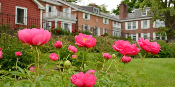 Garden Party at the Brick House