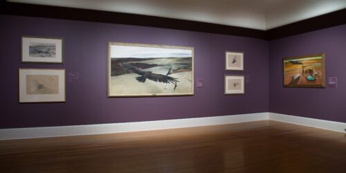 Returning Birds Evoke Museum Memories