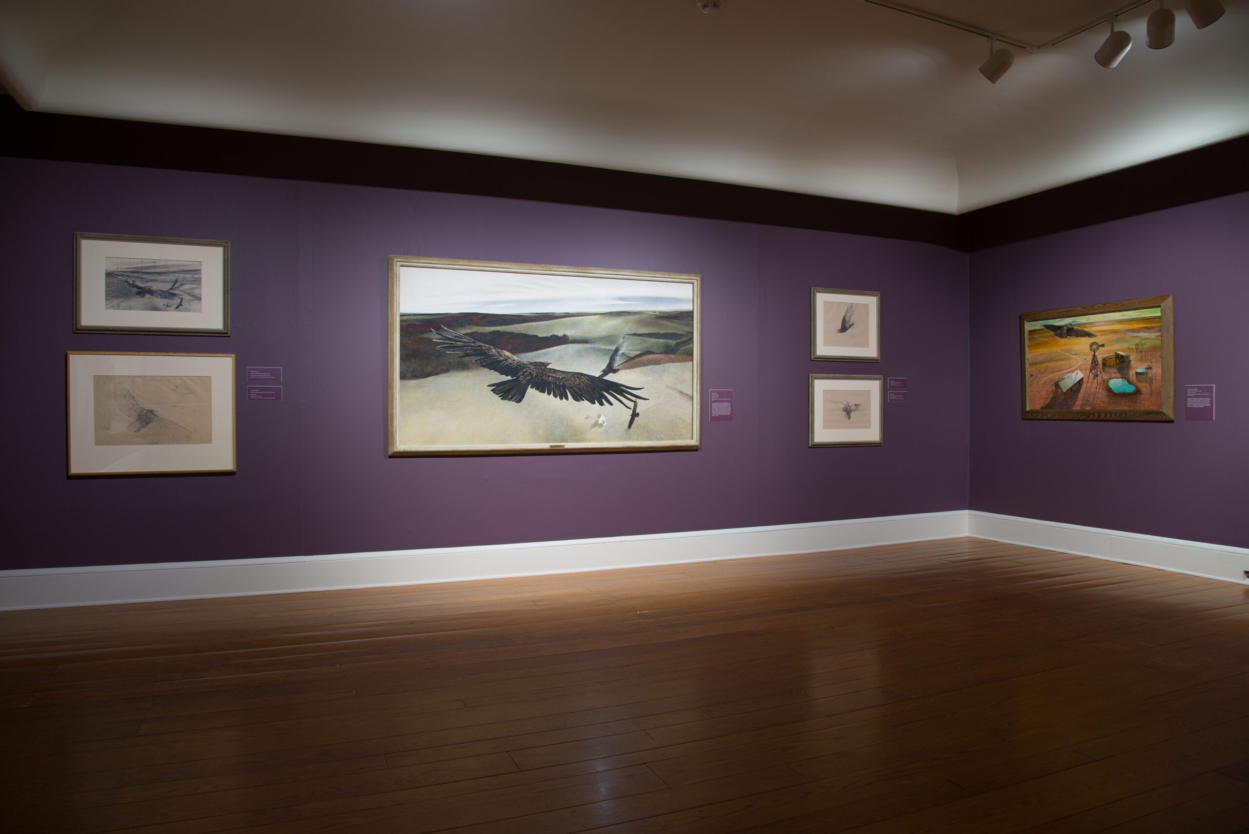 Returning Birds Evoke Museum Memories