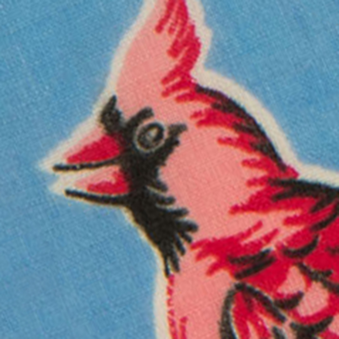 Children Should Know Birds Child's Handkerchief