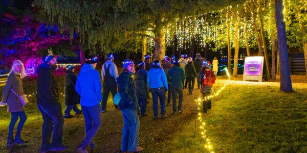 Member Holiday Party