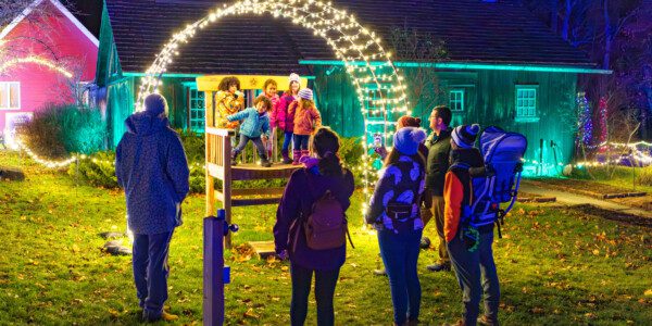 Cookies & Crafts at Winter Lights