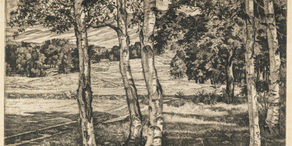 Shelburne Museum Announces Spring 2026 Webinar Series  Offering Art, Nature, and Collection Insights