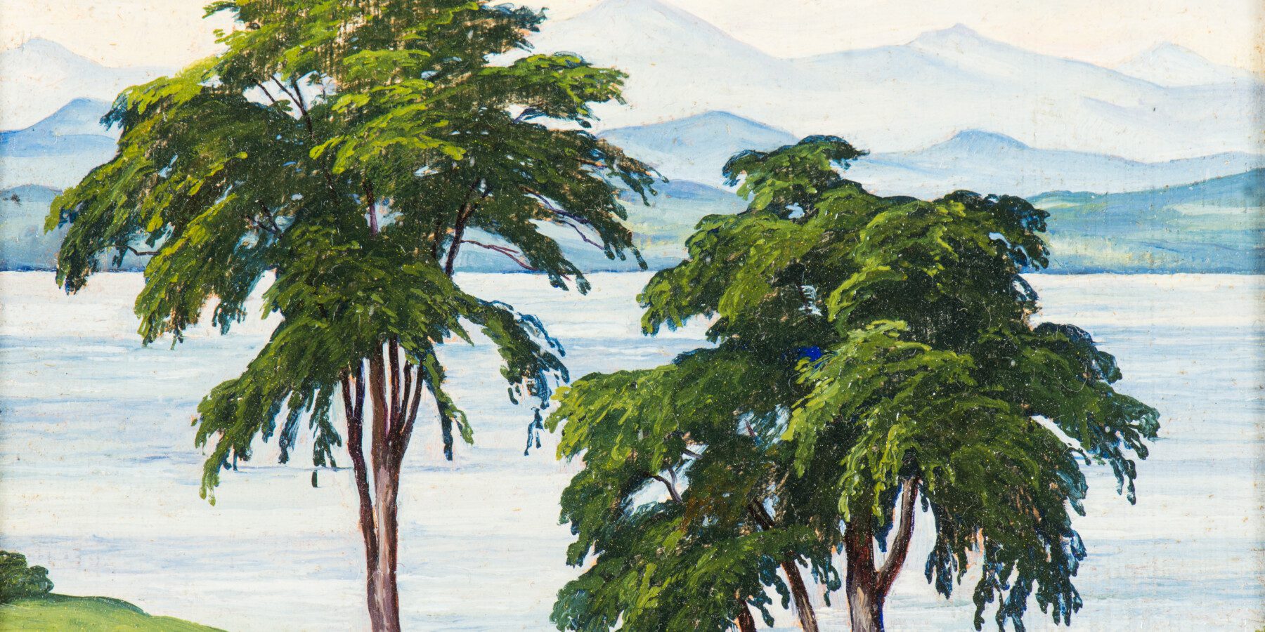 Nature Drawing for All