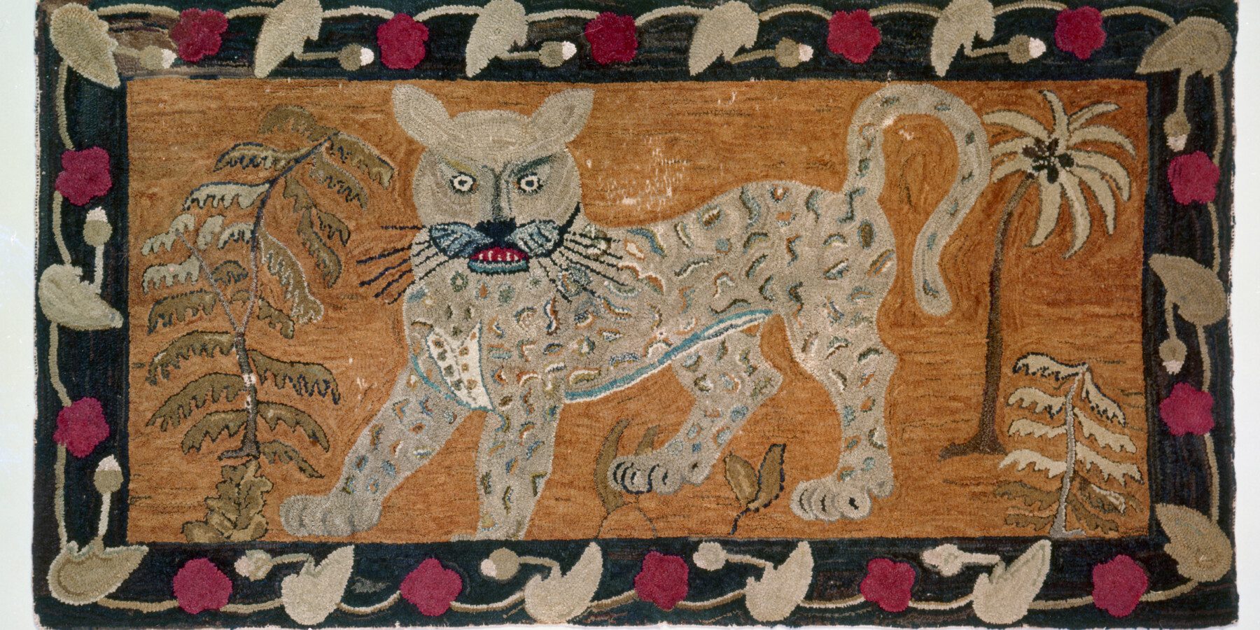 Varied & Alive: A Closer Look