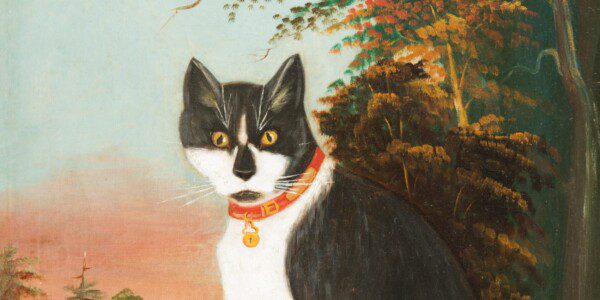 Exhibition Opening – Varied & Alive: New and Rarely Seen Treasures from the Collection